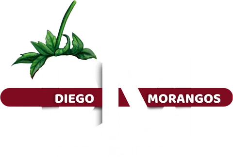 Diego Morangos - DM Distribuidora